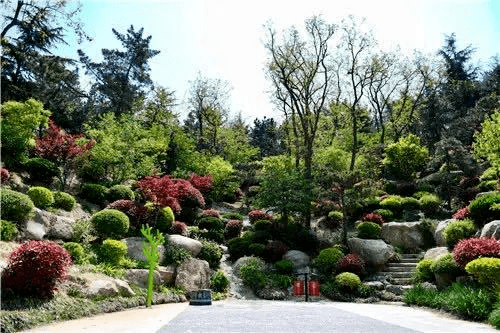 嘉定山公園位於青島市市北區中部, 原名大山,綿延8座山頭,主峰海拔112