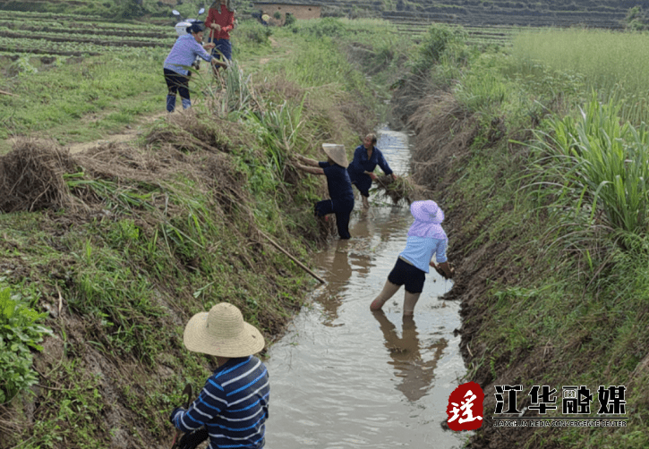 江华涛圩镇开在田间地头的乡村振兴月例会