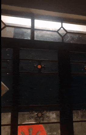 揭西人这几天晚上请关好门窗……_白蚁_黄翅大_预警