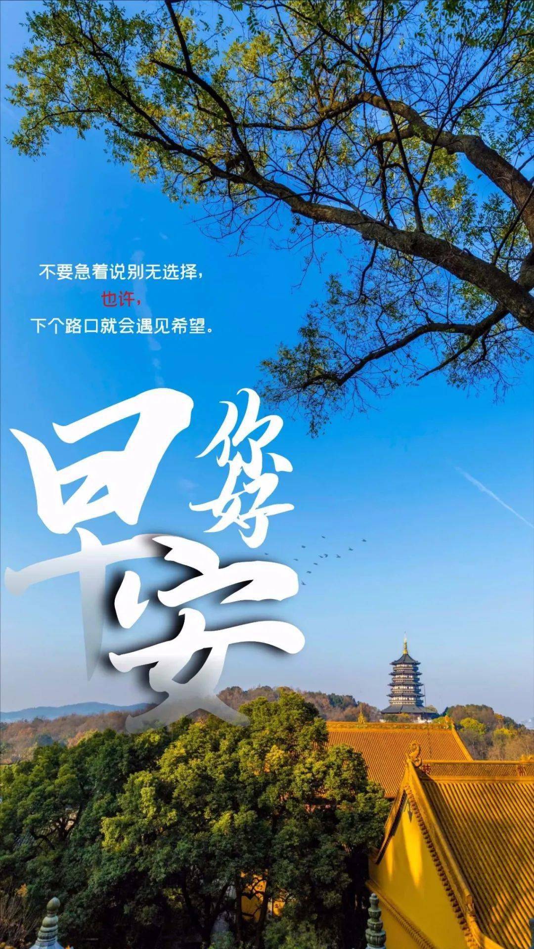 风雨中,只有学会舍弃,保持简单的心境,才能生活得踏实轻松安详幸福