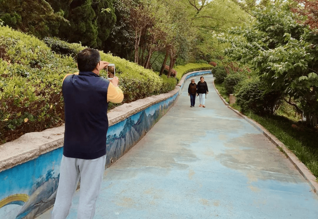 嘉定山公園位於青島市市北區中部, 原名大山,綿延8座山頭,主峰海拔112