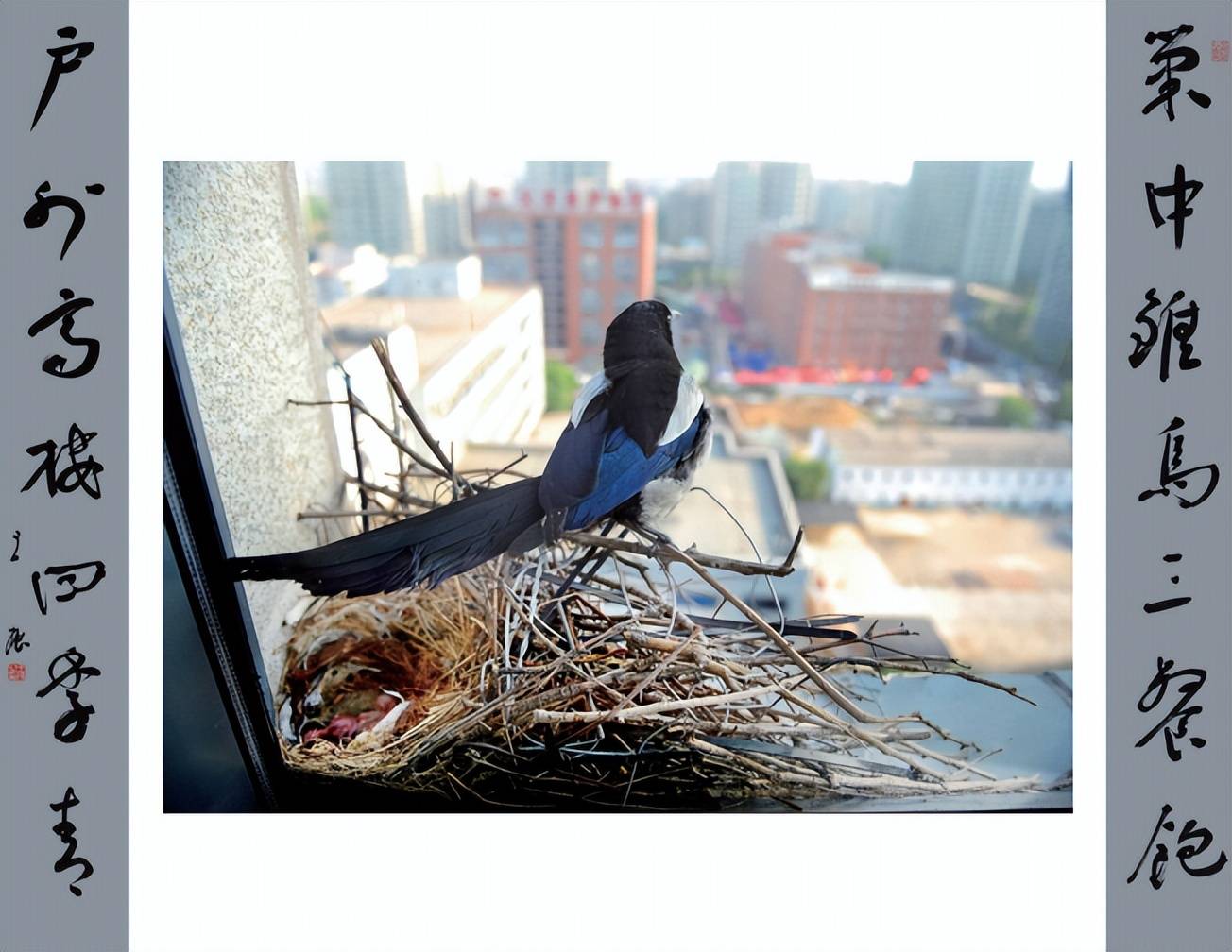 "乐观鹊来——王振书法作品展"在中国华侨历史博物馆举办_喜鹊_对联