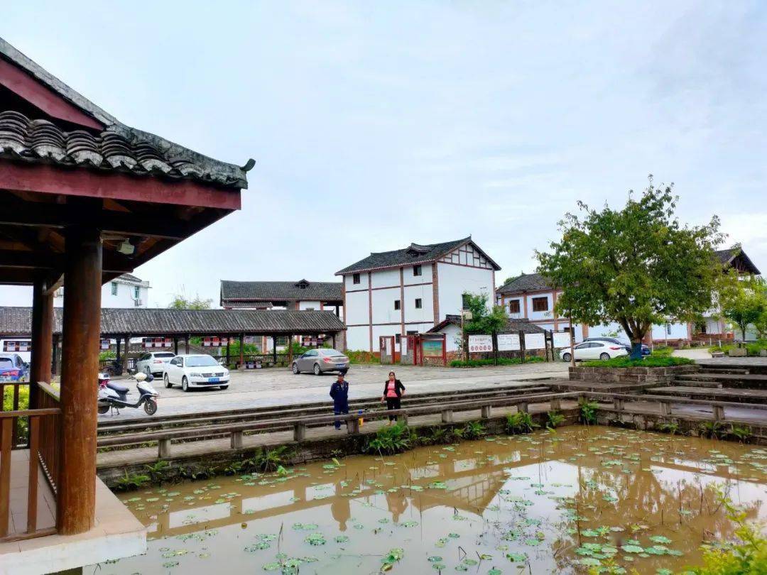 去南充高坪元宝山村看看新农村品尝农家乐