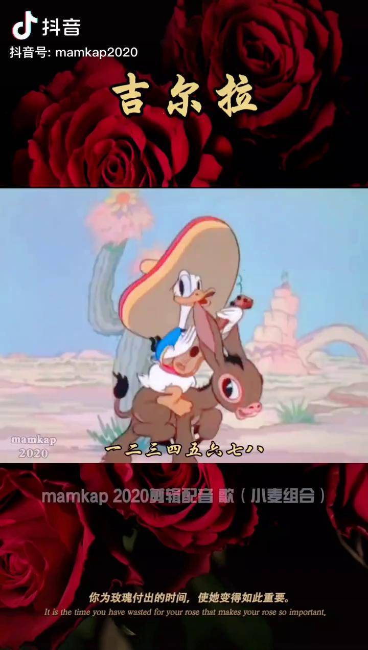 吉尔拉小麦组合音乐人小麦taxputuk动画dou小助手