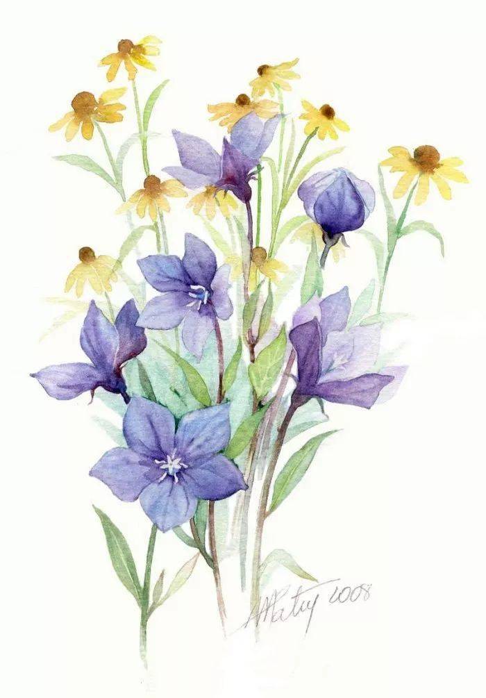 艺术家anne-marie patry-belluteau手绘花卉水彩画集_作品_法国_浮动