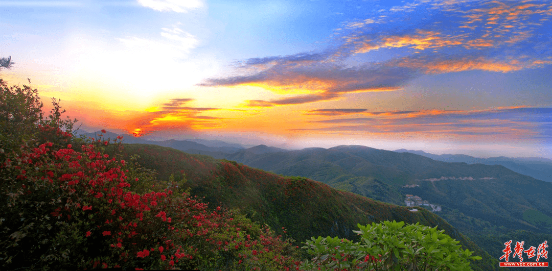 唱響好永州 | 全面打卡陽明山,解鎖景區