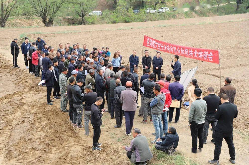 【农情快讯】安沟镇大豆玉米带状复合种植技术培训会召开_延长县_技术