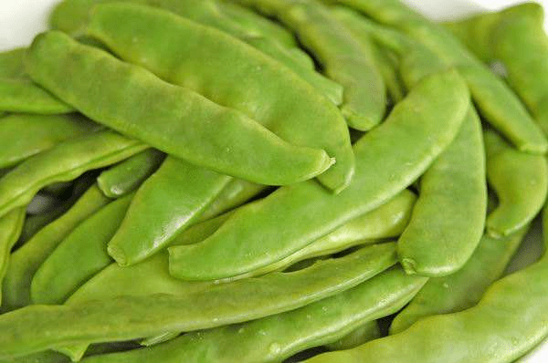 安全消费预警,不随意采食野菜,食用菜豆时烧熟煮透,以防止发生中毒