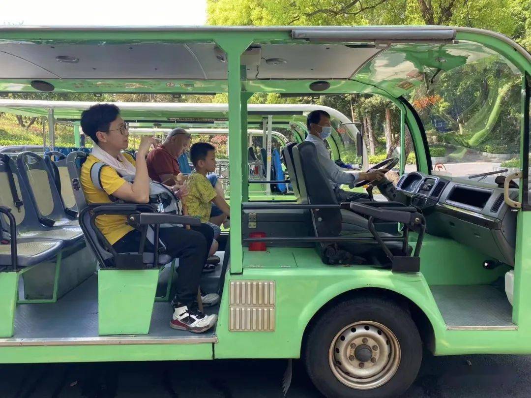 观光车司机全神贯注把控方向盘,搭载游客欣赏沿途风景,保证着每一位