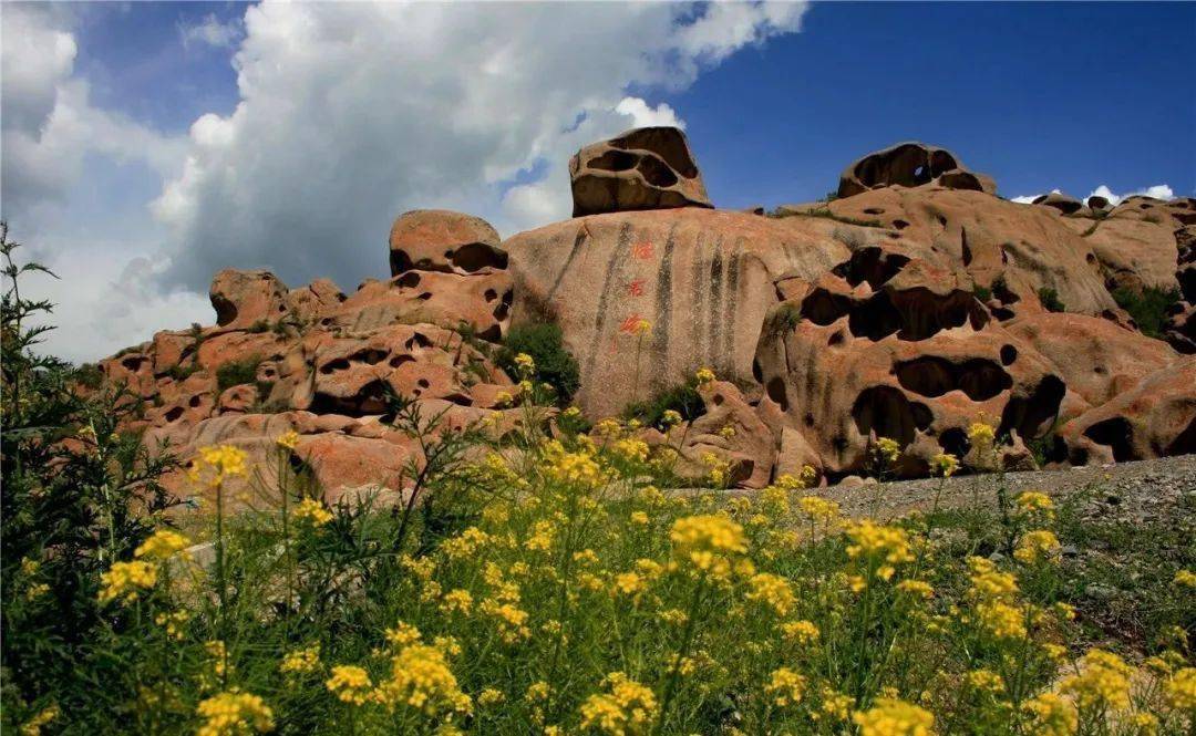 这里是双河来第五师双河市体验乡村旅游高颜值
