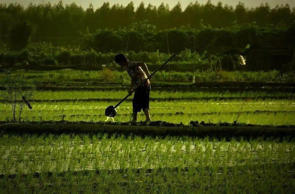 头顶烈日,汗流浃背背靠朝阳,日落而息黝黑的皮肤,憨厚的表情亲切的