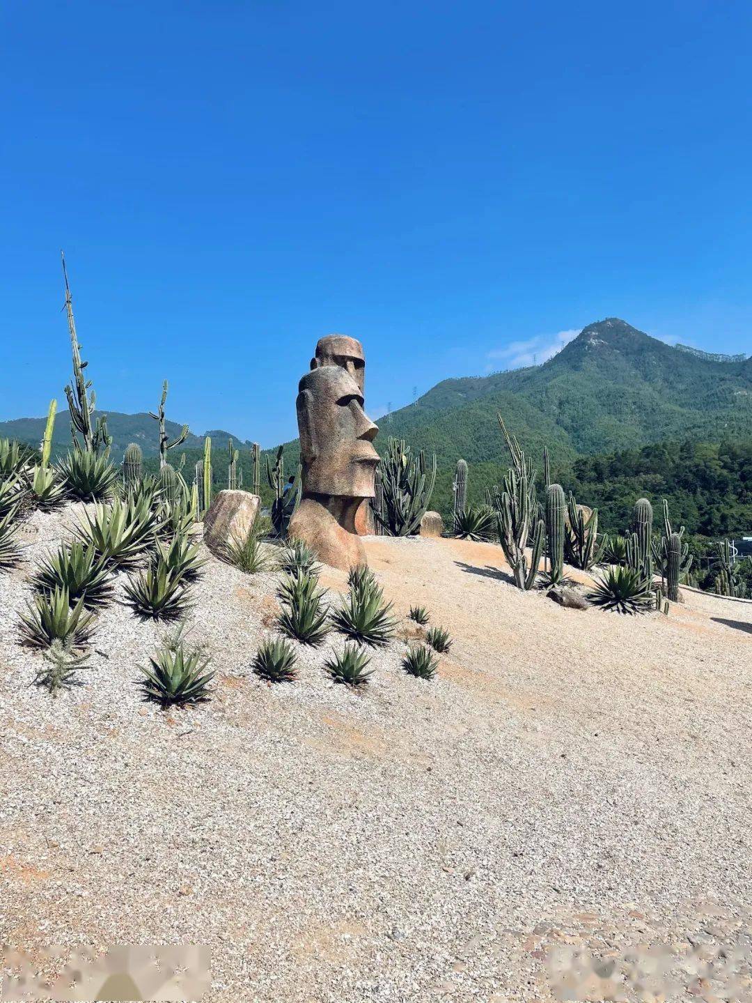 探访蜗牛村打卡仙人掌王国藏在漳州的宝藏旅行地居然这么好玩