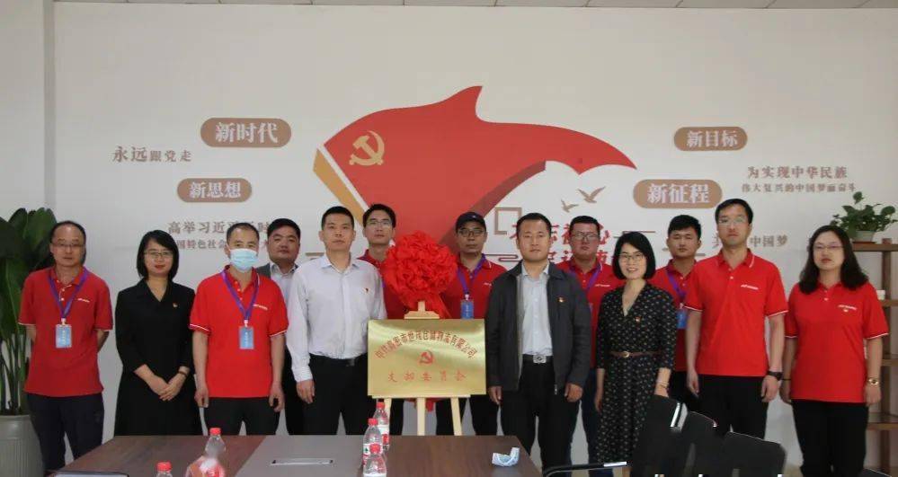 提升群众满意度党员快递小哥有了家高密市首个快递企业党支部正式成立