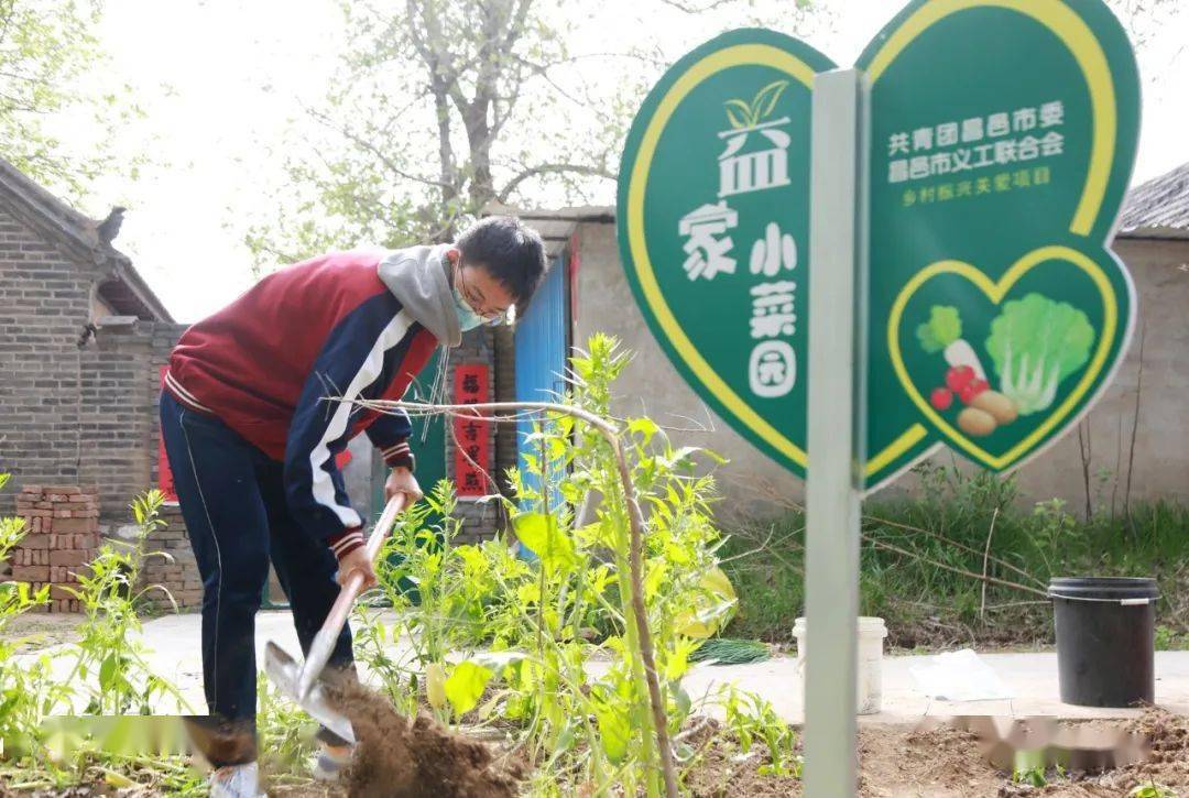 金晖助老益家小菜园同学们给卜庄镇姜爷爷建成小菜园