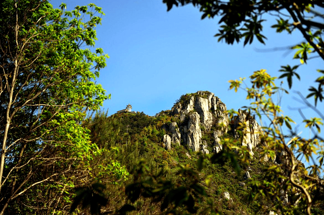 平阳满田森林公园图片