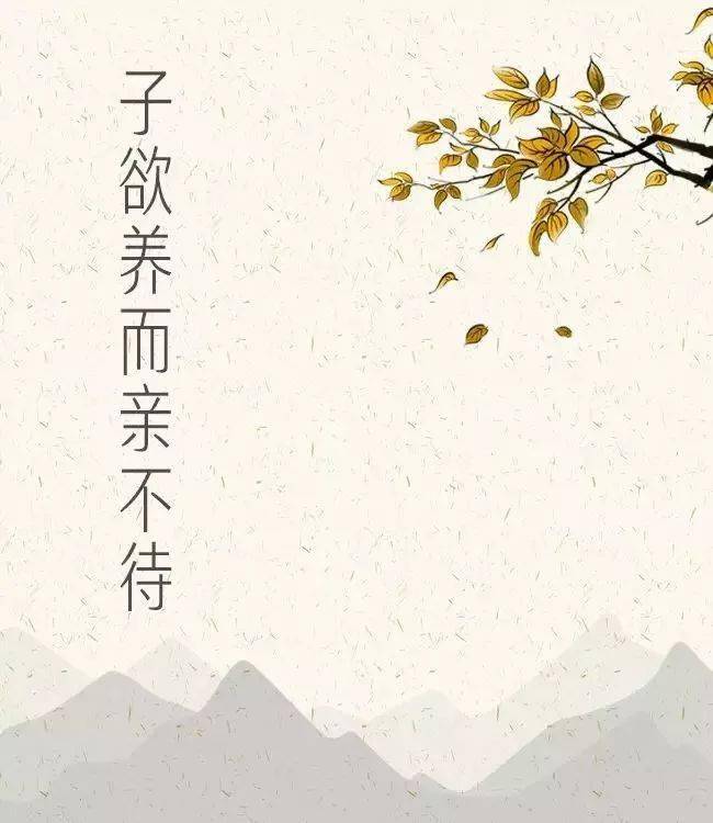 总以为来日方长,却忘了世事无常.子欲养而亲不待,是人间最大的悲剧.