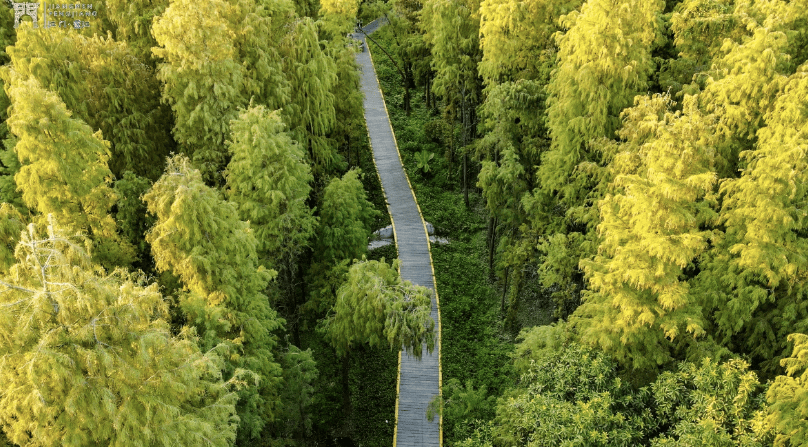 【五一游蓬江】潮连最新游玩攻略来了>>_江门市_地址