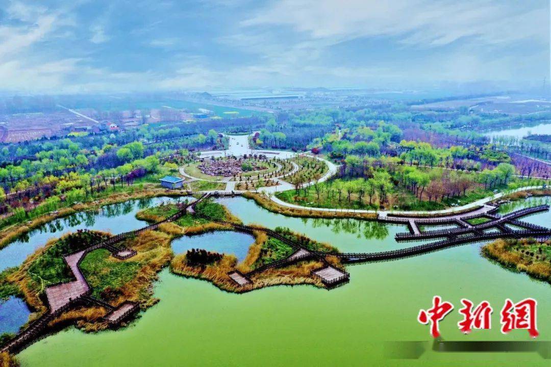 这里有黄河故道国家湿地公园,八里湾风景区.