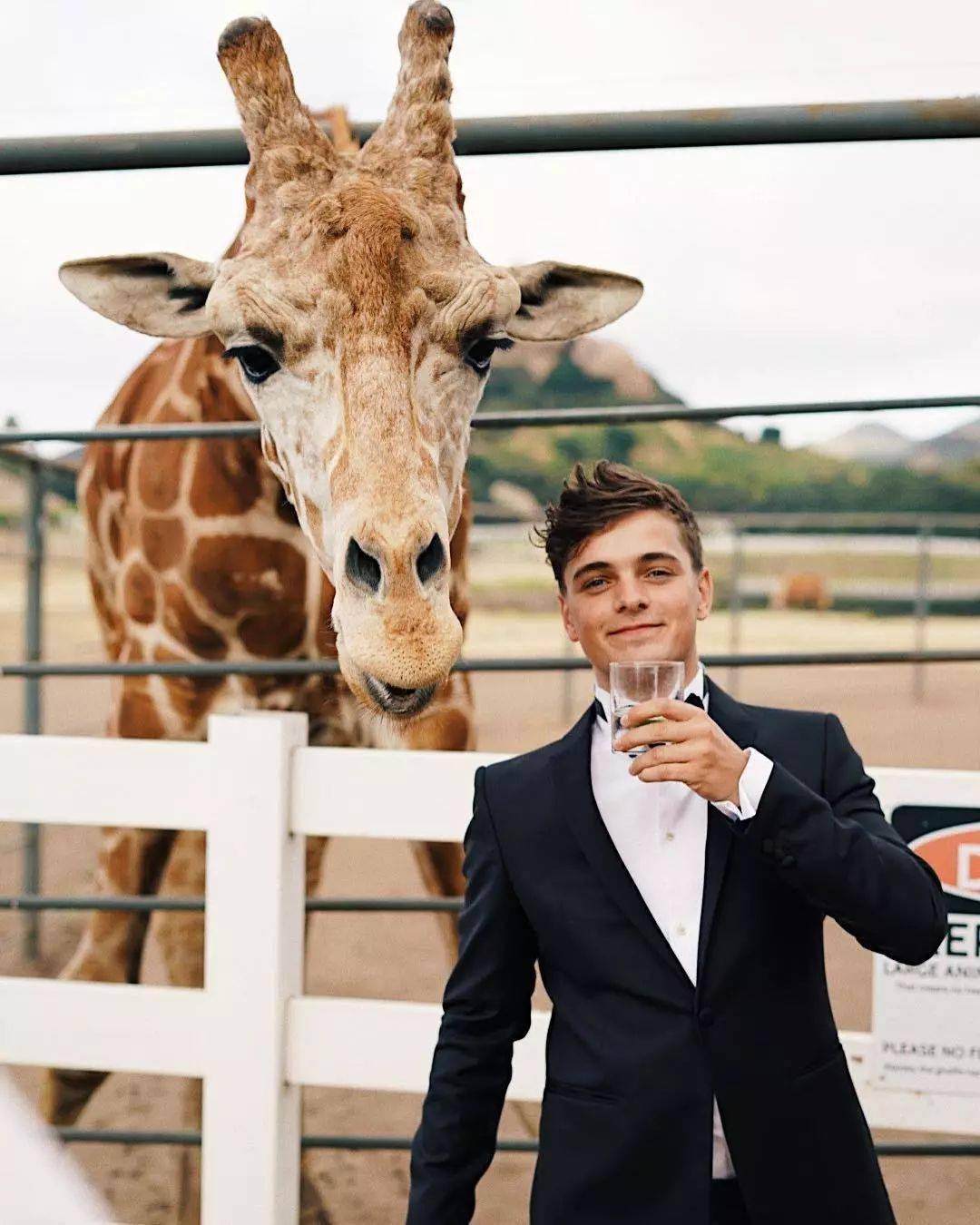 他25岁提前进入中年…_马丁·盖瑞斯_沉默_sentio