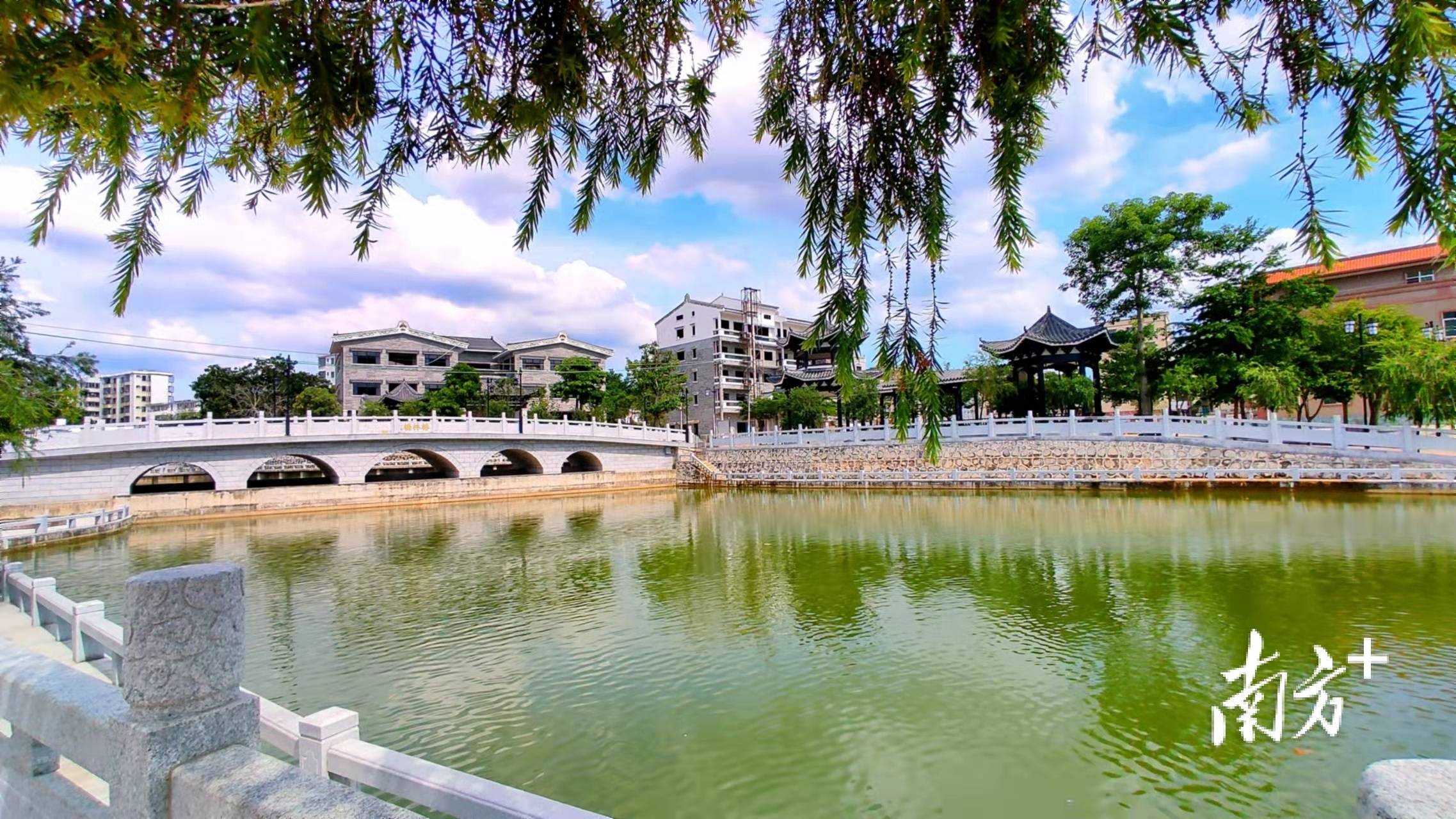 打造小场景整治撂荒地在这里读懂乡村振兴坡头答案