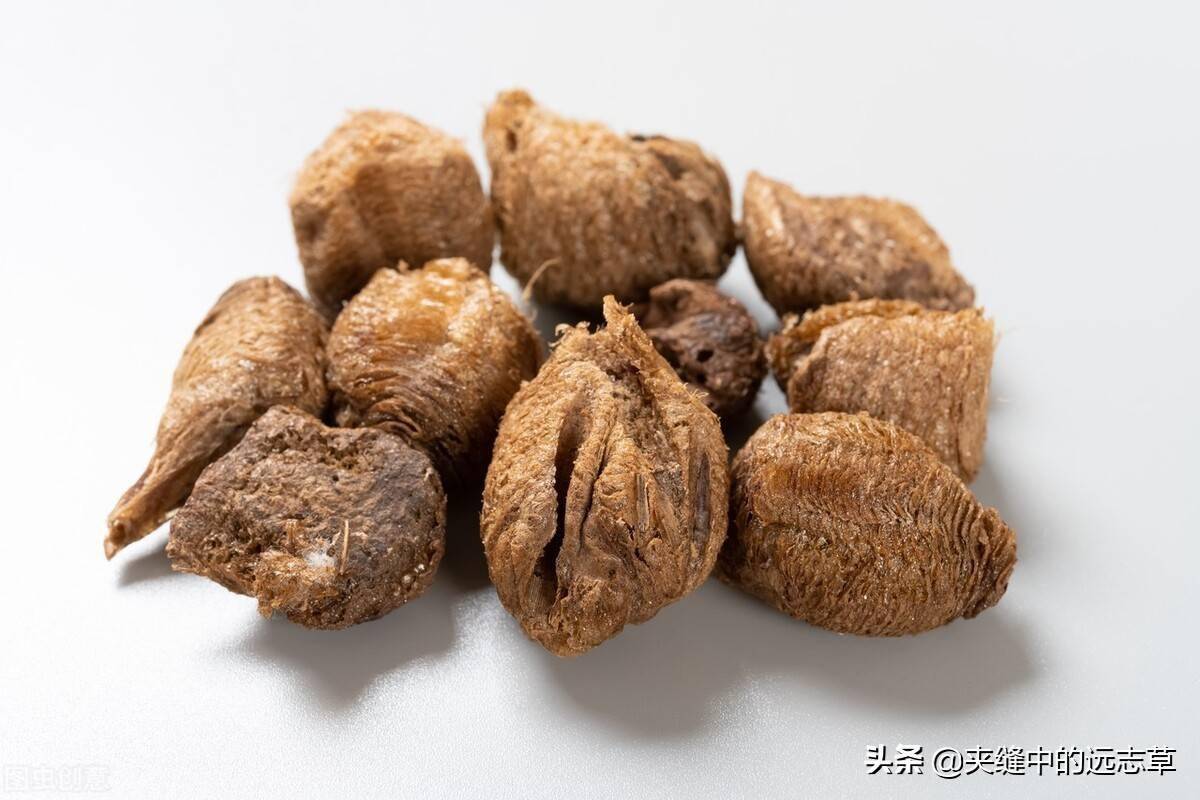尿频？送你八味中药，温肾助阳、交通心肾，起夜少，才是真的好