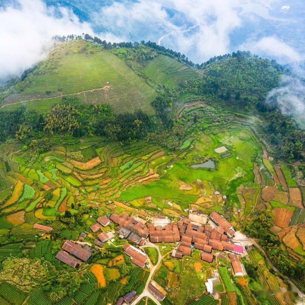 福清西北部的宝藏古镇!约起!_东张镇_森林_少林寺