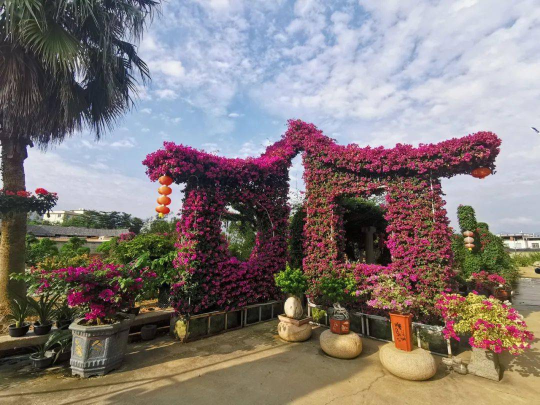 幸福人家泉州石獅花海谷公園 