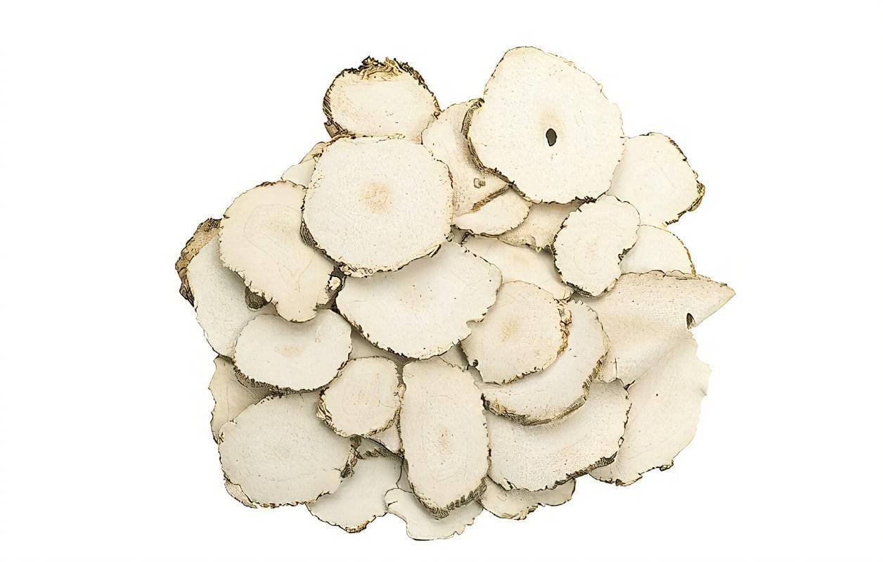 每日一药之白芷