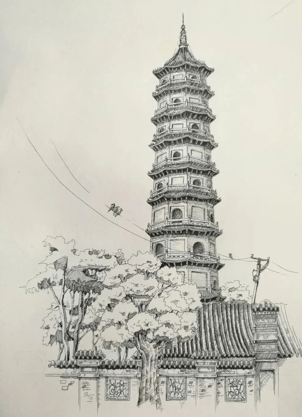 天津美术学院,基础部速写!_网络_素材_版权