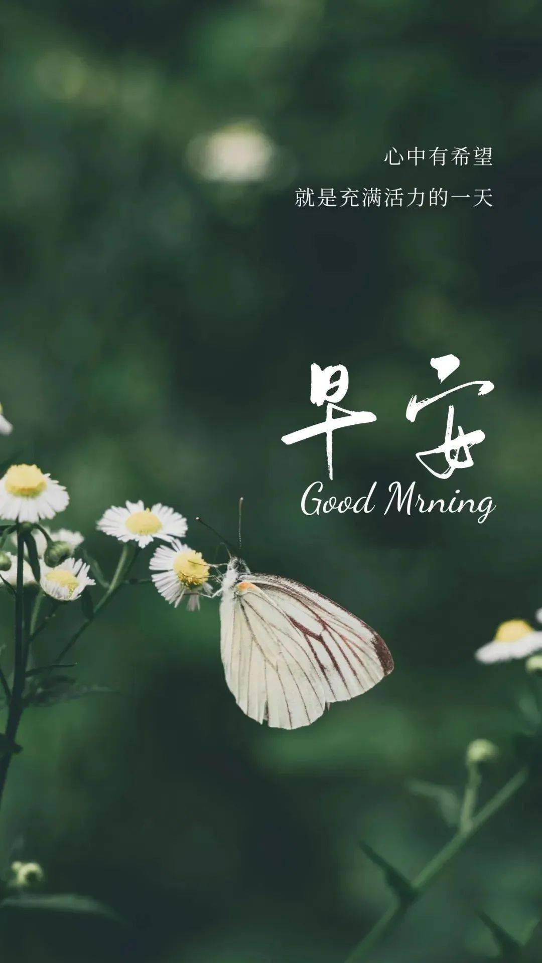 5月4日早安一句正能量分享