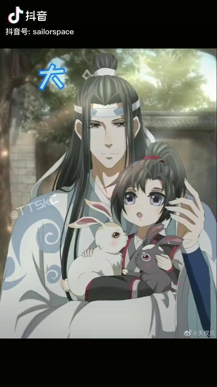 忘羡 封面图来自wb:天衩兄,已授权