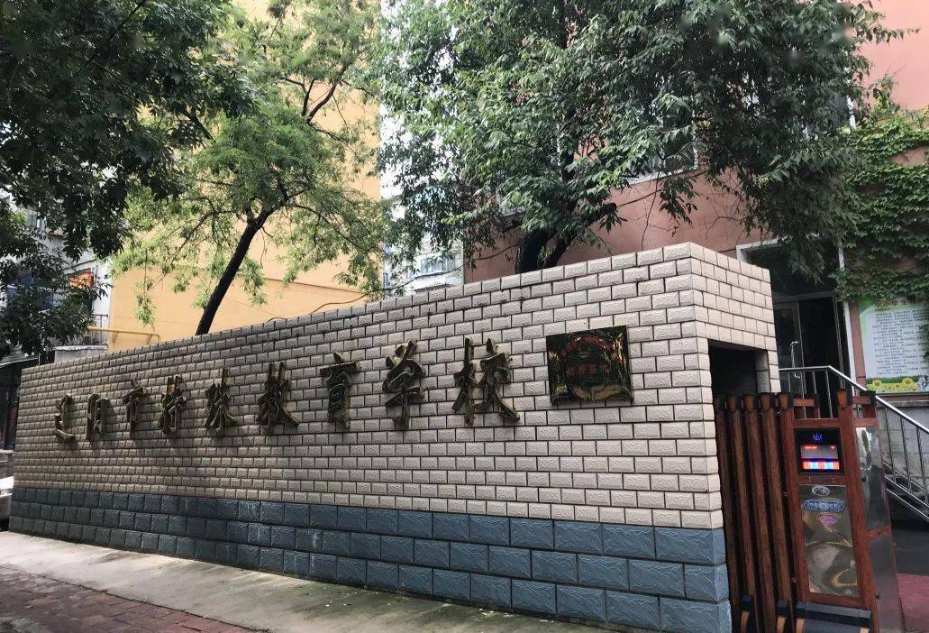 《辽宁教育》专访辽阳市特殊教育学校教师李紫微——一闪一闪"紫微星"