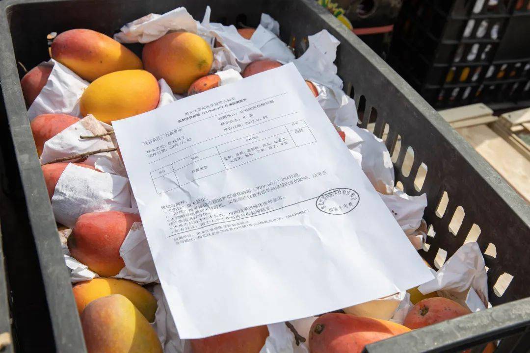 去批发市场进水果回来卖被抽检不合格谁的责任