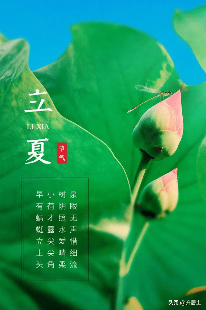 人间好时节——立夏_你好夏天!_植物_蚯蚓