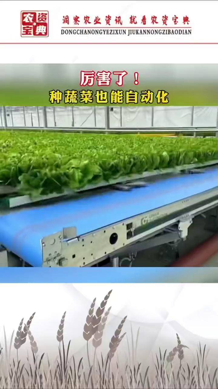 厉害了种菜也能自动化现代农业机械心系三农服务三农蔬菜02农业技术