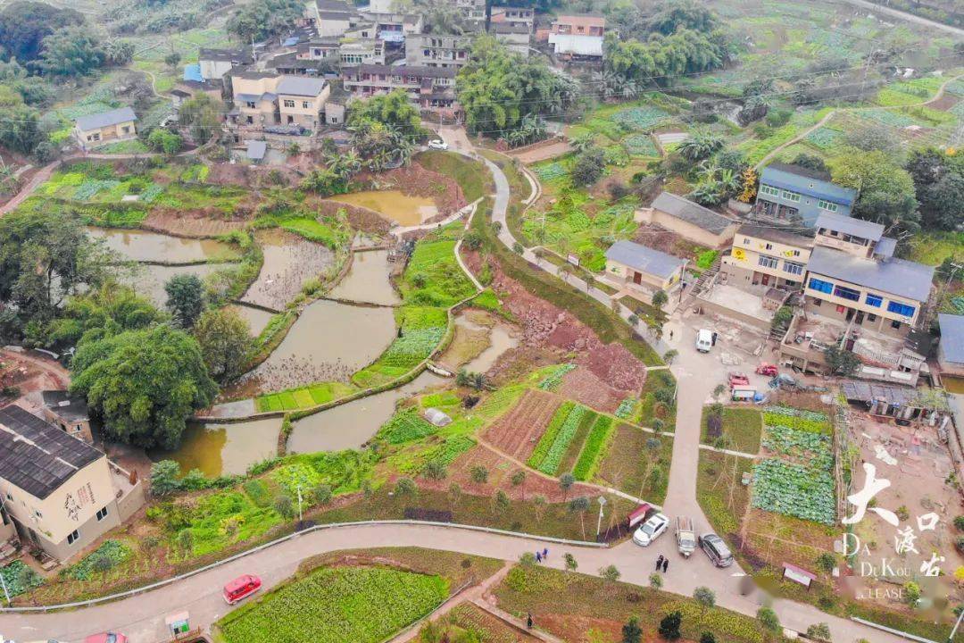 一村一巷皆是景!大渡口建胜镇今年将办好11件重点民生实事