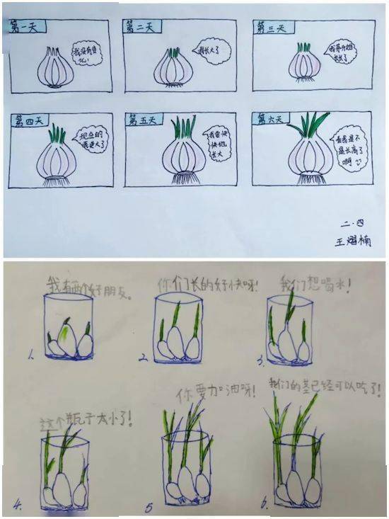 坊子区第二实验学校开展五一劳动实践周体验活动