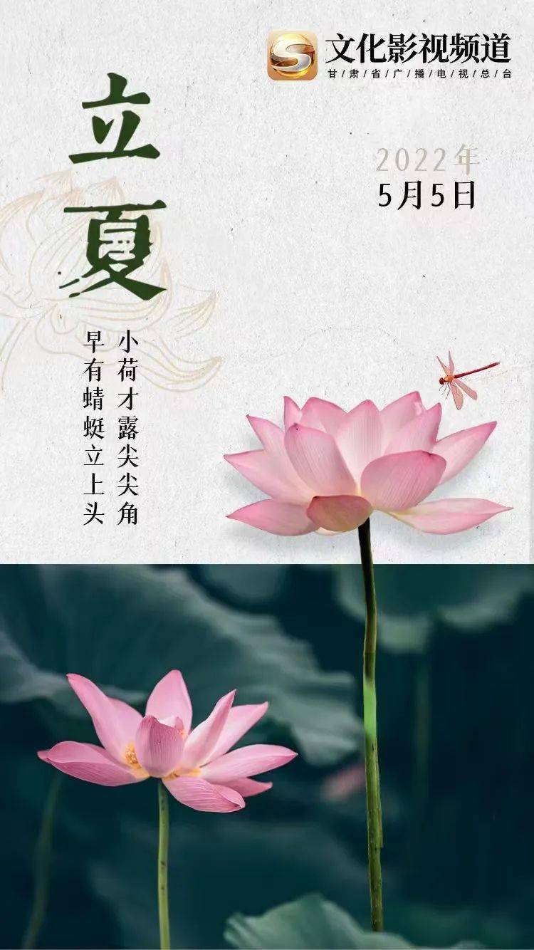 立夏之日蝼蝈鸣