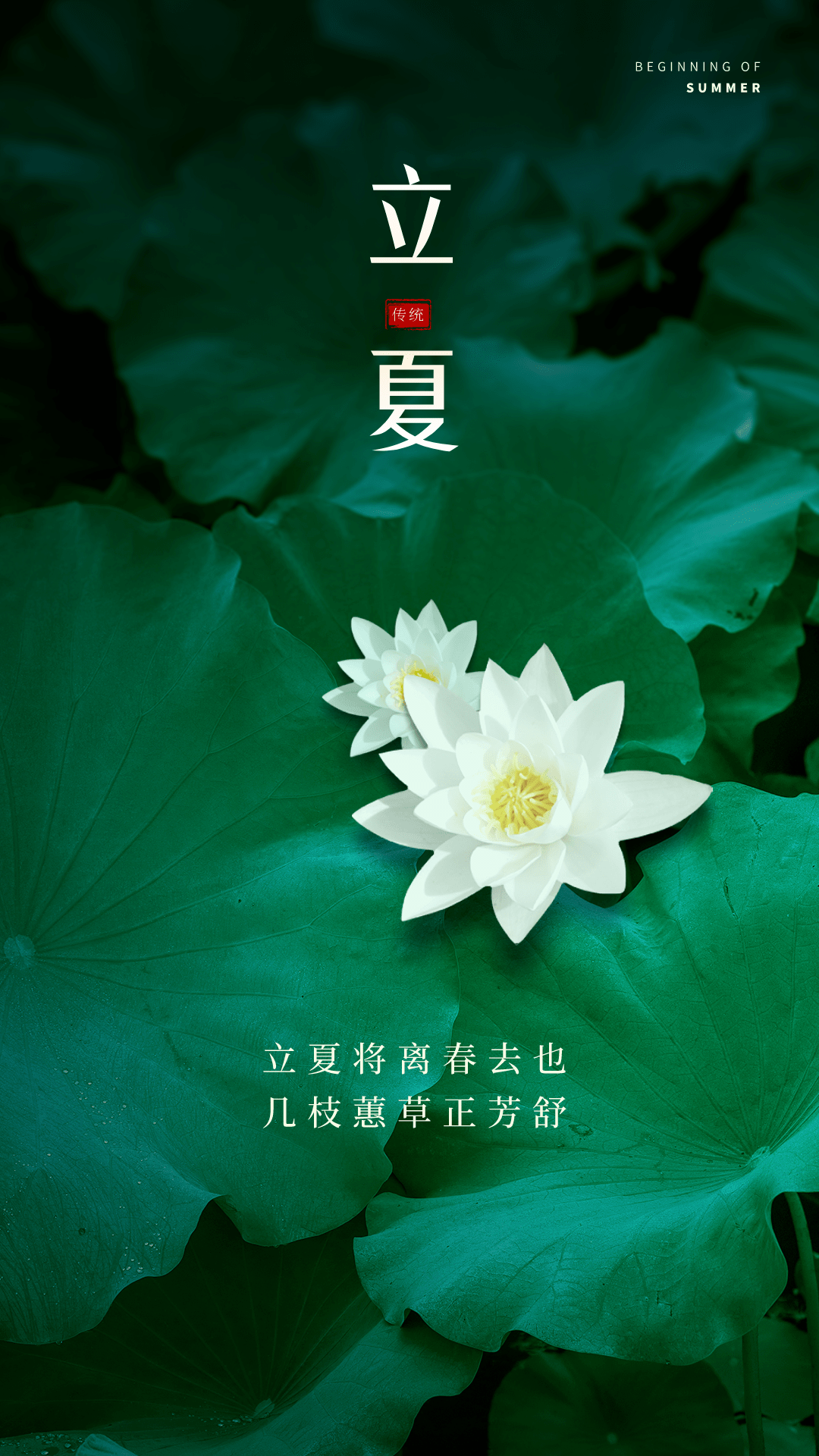 立夏文案精选一句话