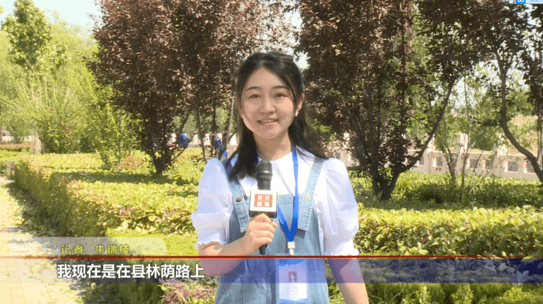 绿化修剪汇报
