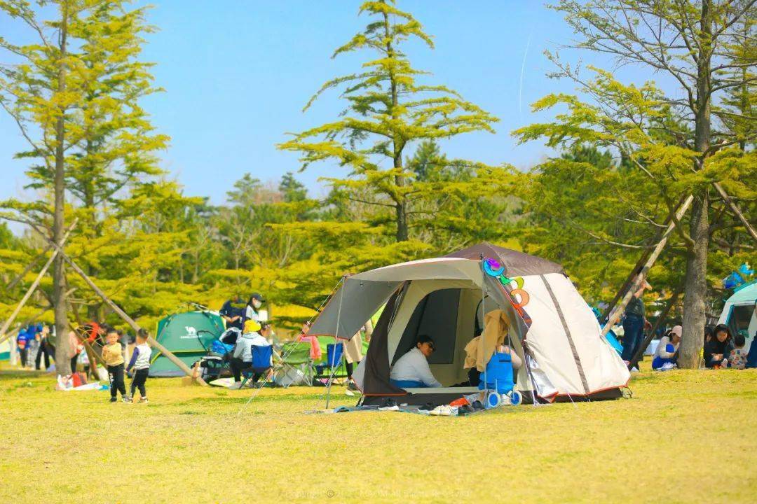 收藏烟台宝藏野餐露营地周末带你实现晒太阳自由