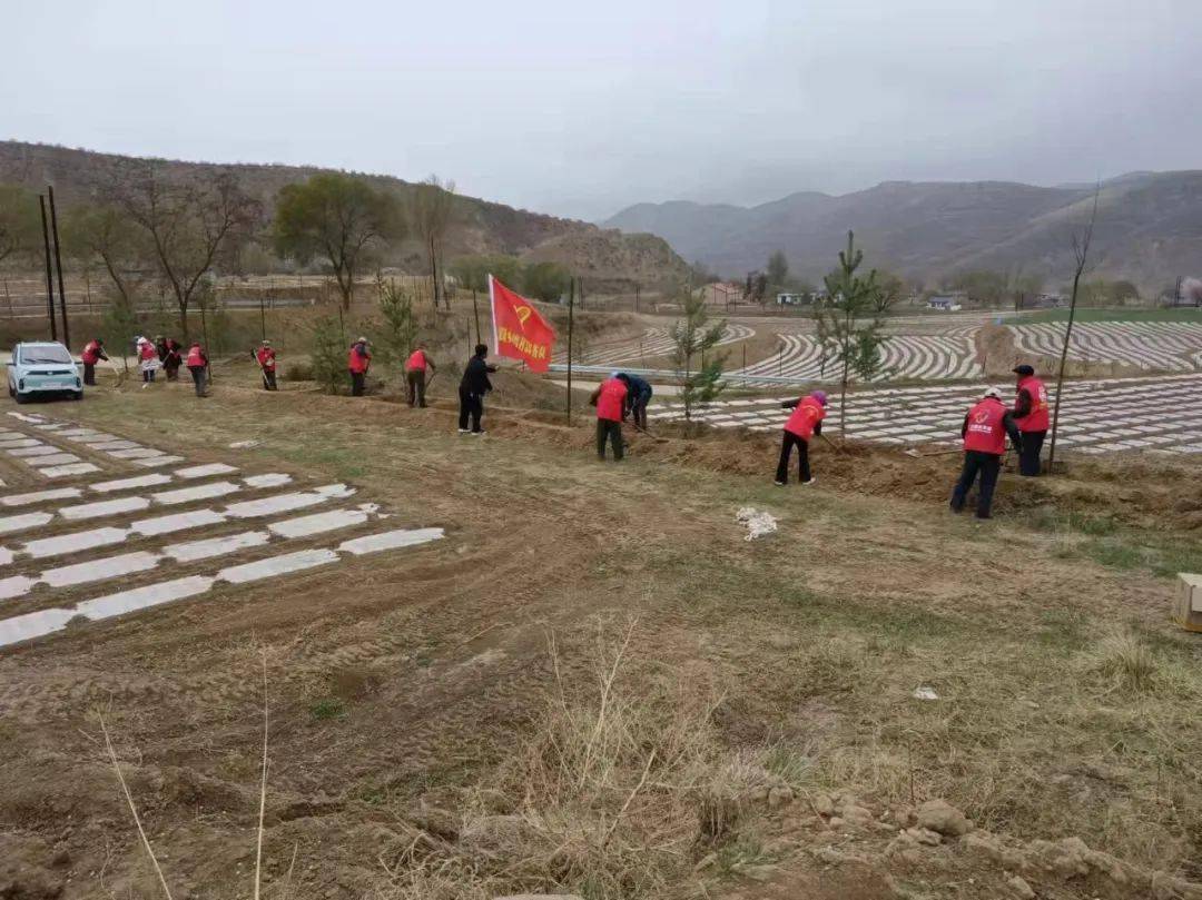 兰花芬芳巾帼志愿西吉县震湖乡志愿红播撒乡村绿
