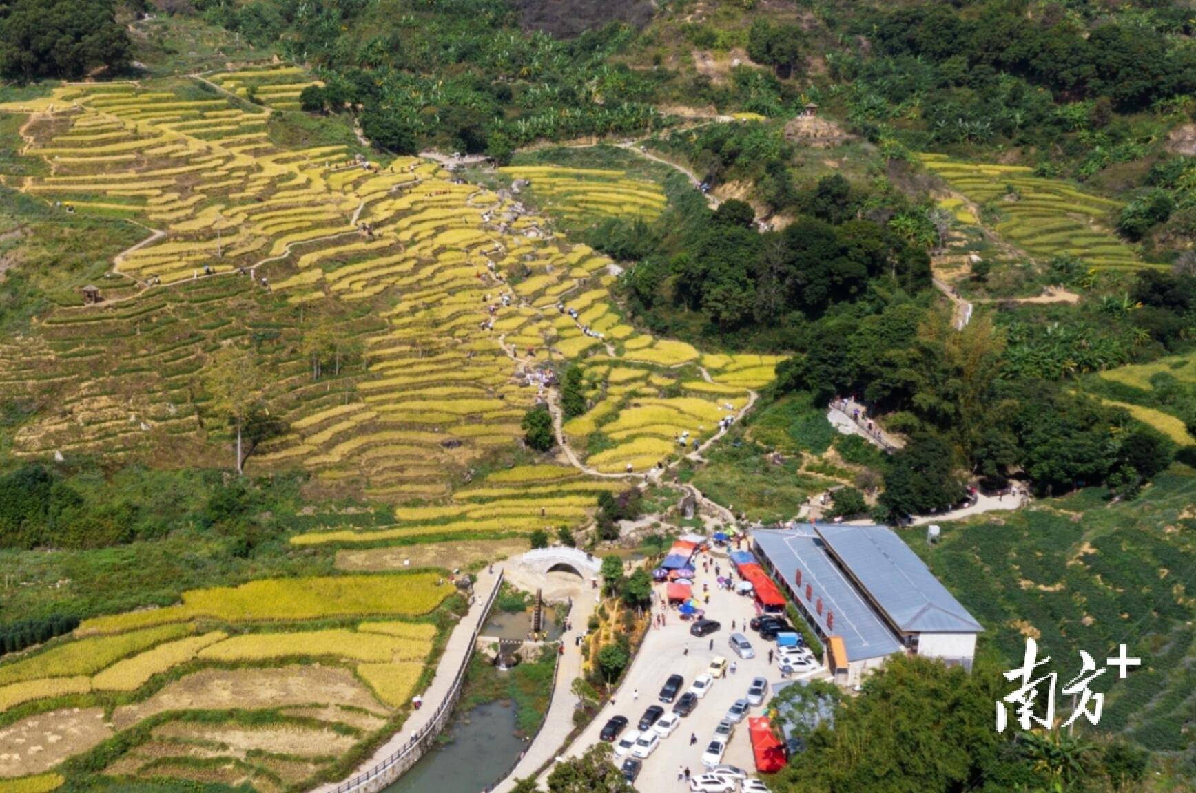 陆河上护镇打好五张牌赋能乡村振兴