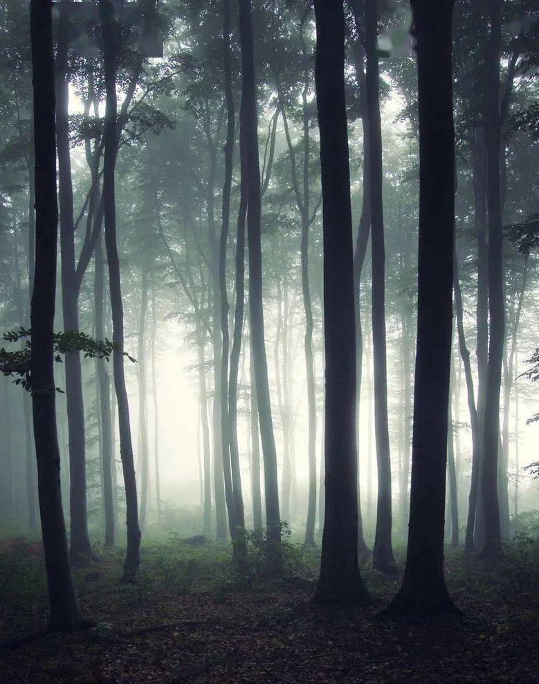 她曾患抑郁症笔下少女苍白恐怖却有16w粉丝围观看完直呼受不了