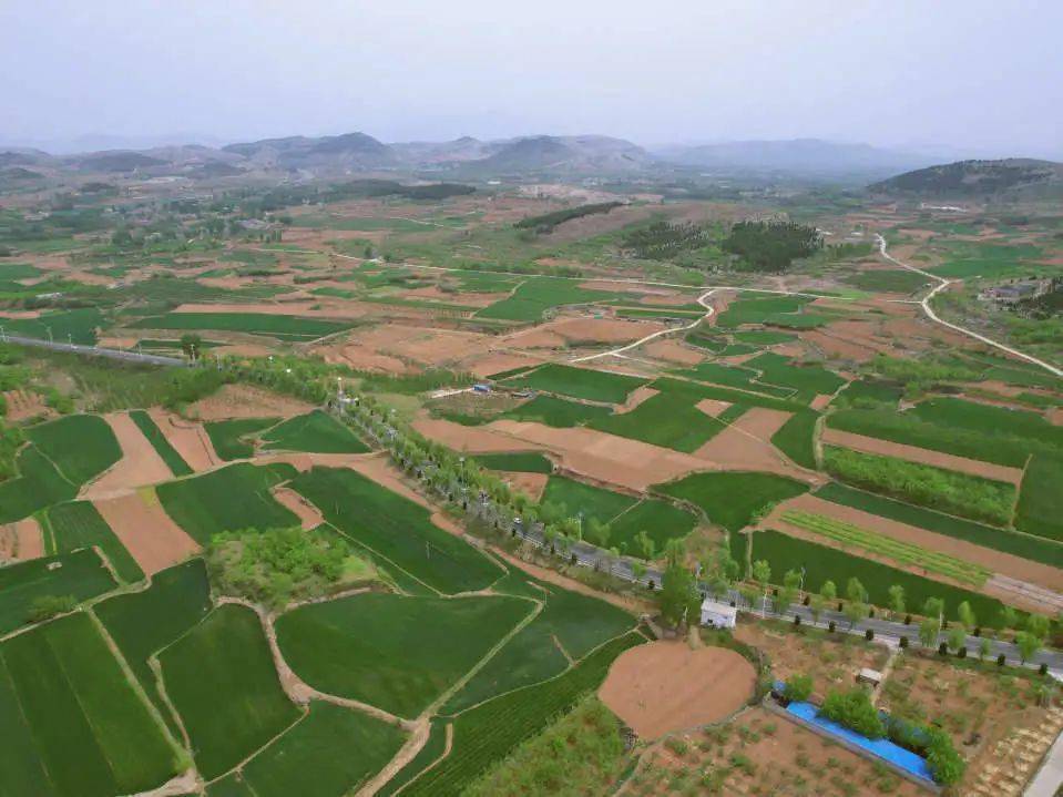 以村在园中,园在村中的理念,突出抓好植物园景区建设,景点打造,生态园