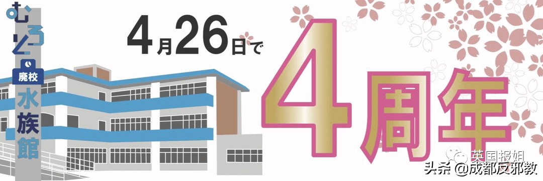 日本废弃的小学被改造成超现实水族馆 场景太梦幻 动物 值日生 标本