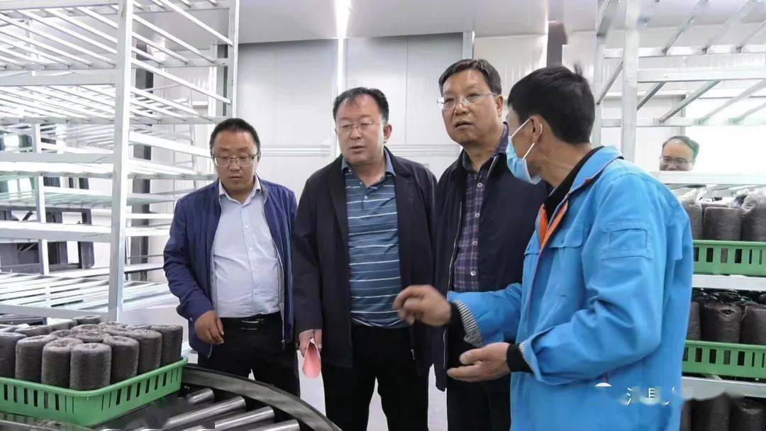 县人大常委会专题调研全县工业发展情况_漳县_项目_企业