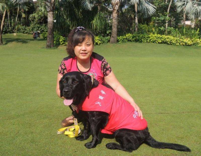 "导盲犬的朋友"陈燕:被误解的十年_盲人_质疑_珍妮