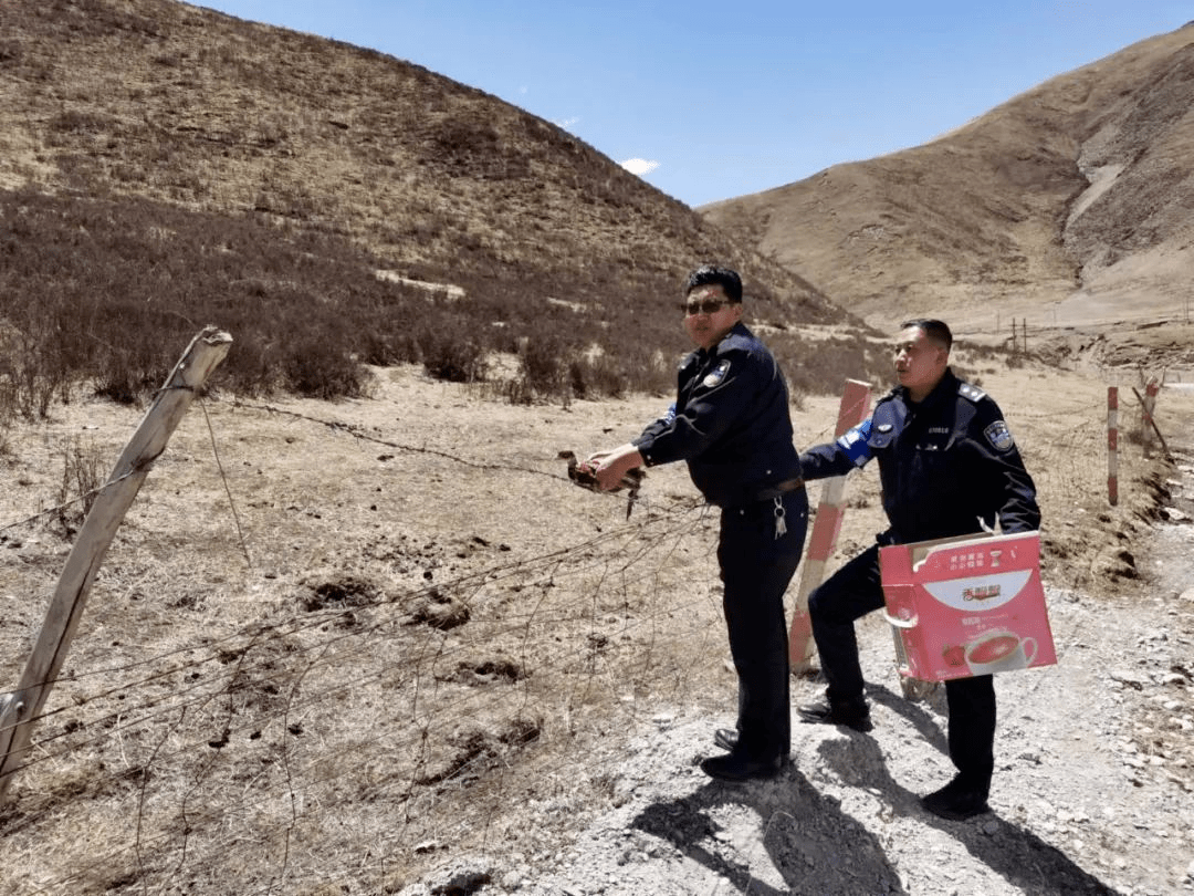 5月5日,玛沁县公安局森林警察大队民警接到群众报警"交警大队附近有