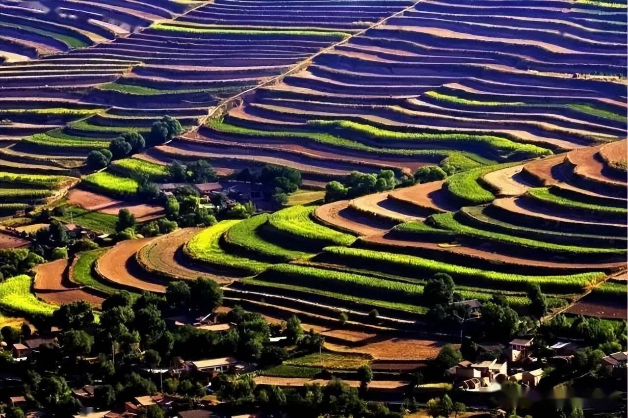 最美"梯田季",甘肃的这几处梯田你都去过吗?_庄浪_定西_平凉